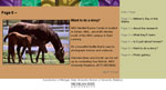 Web design for MSU's Merrilat horse farms