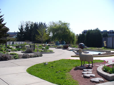 MSU Children's Garden in the Spring of 2008