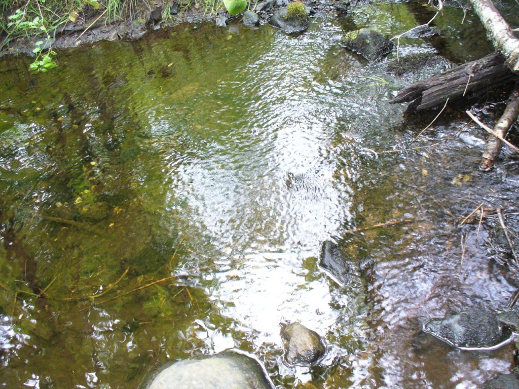 Creek