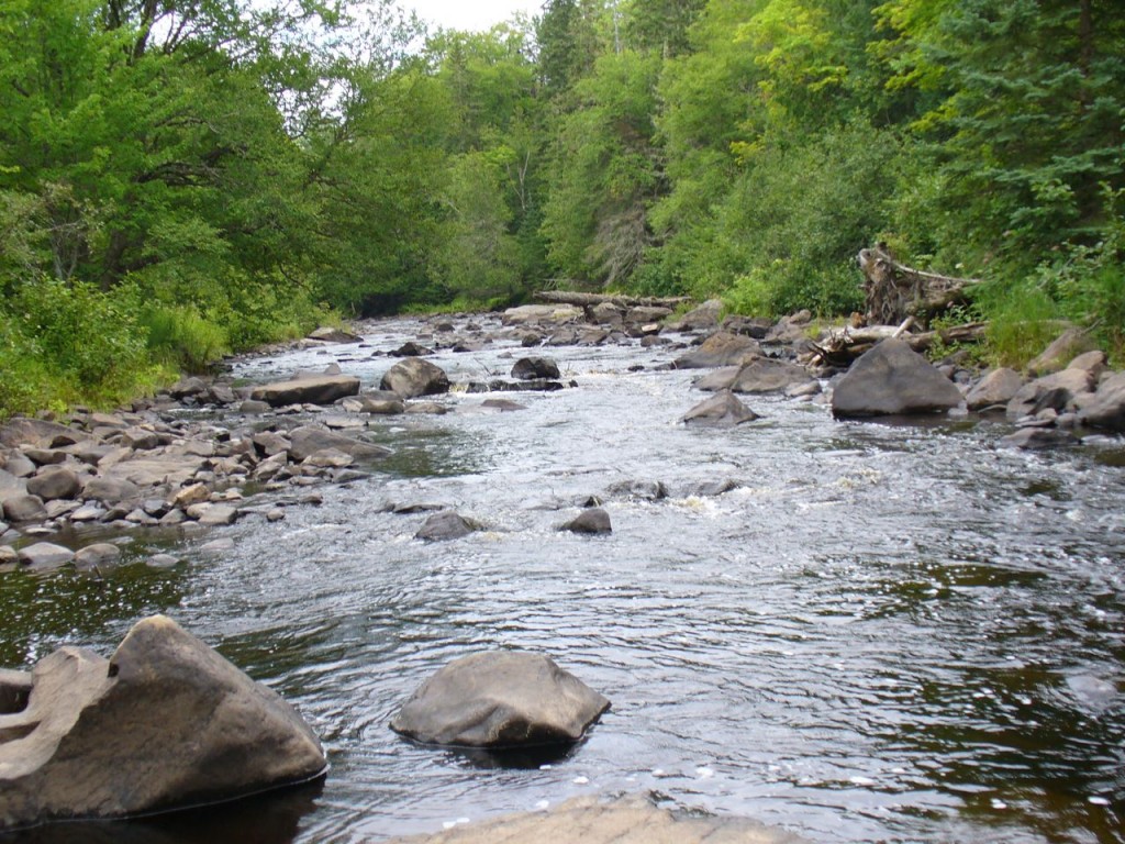 River, rocks, trees.