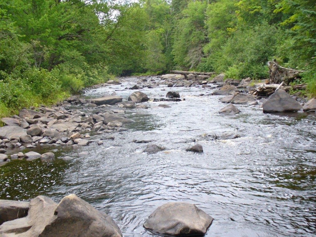 River, rocks, trees.