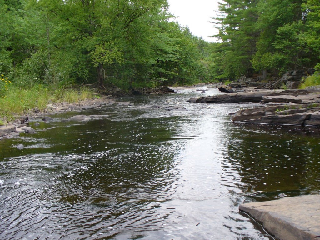 River, rocks, trees.
