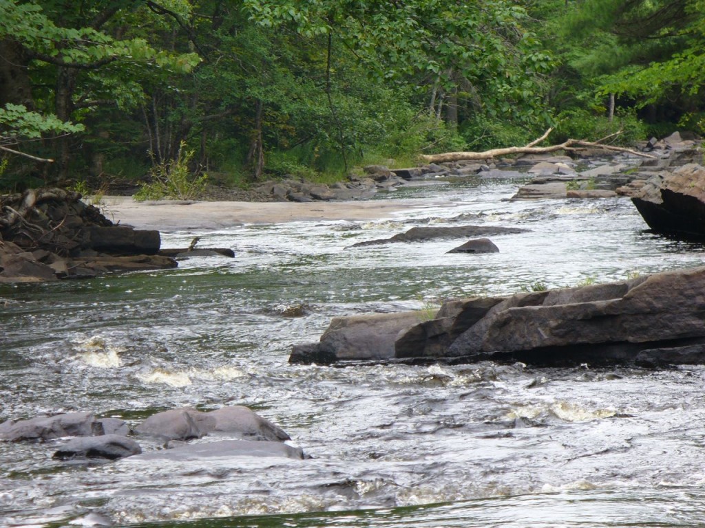 River, rocks, trees.