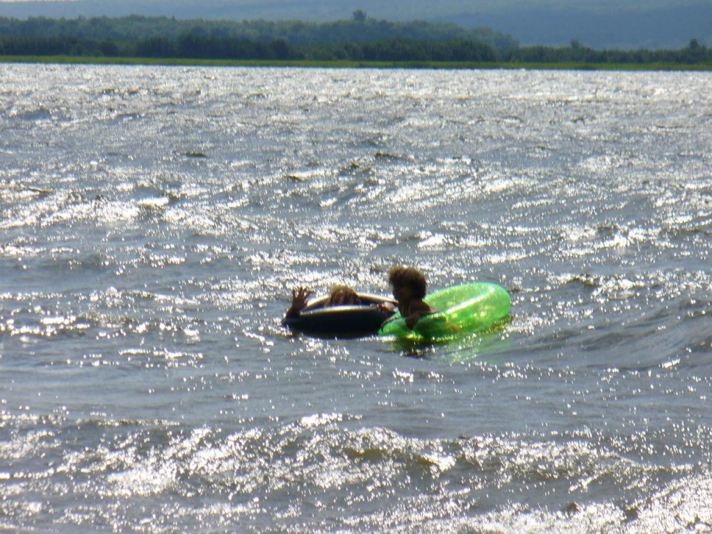 Swimmers in inner tubes