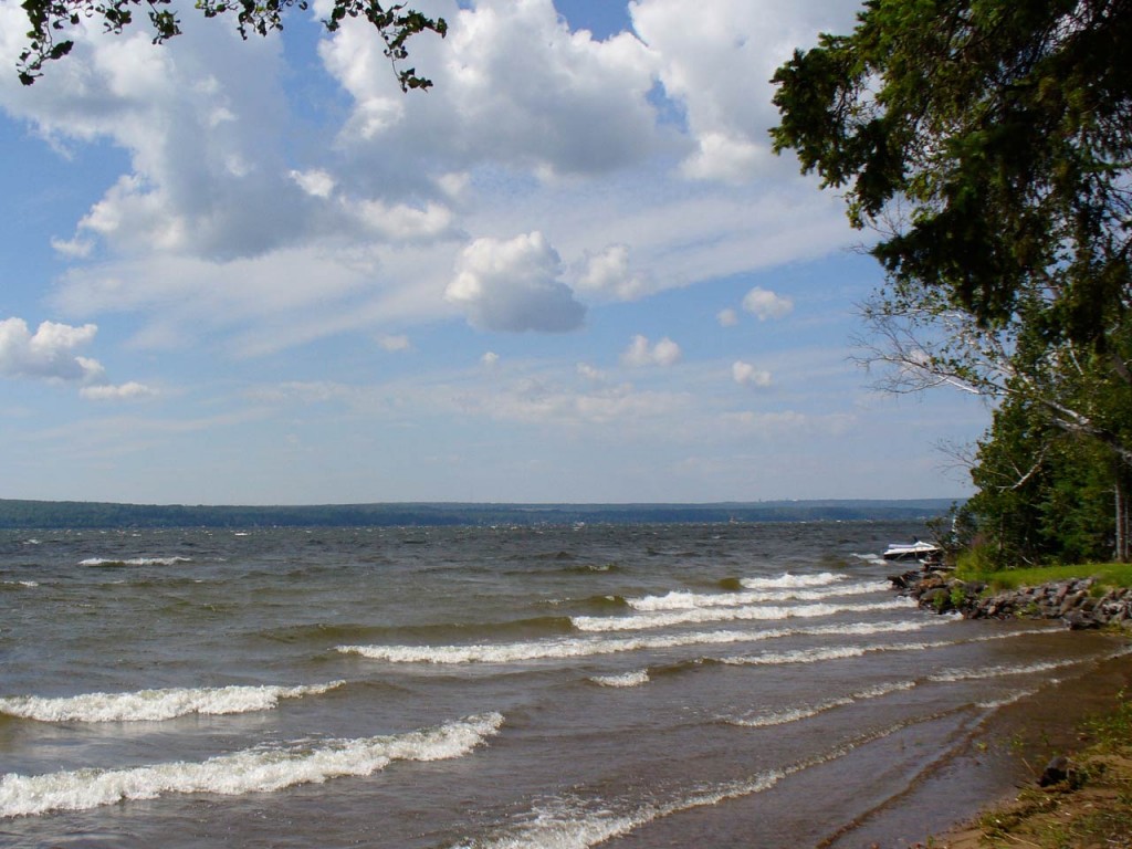 Waves near the shore