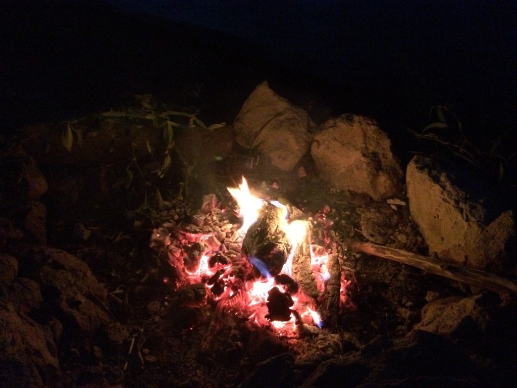 Flame and embers of a camp fire at night.