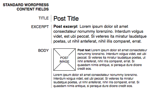Standard WordPress content fields include the title, excerpt, and body.