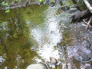 Creek
