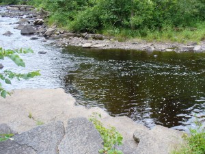 River, rocks, trees