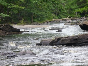 River, rocks, trees.