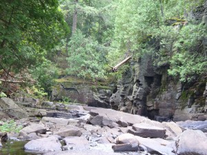 River, rocks, trees